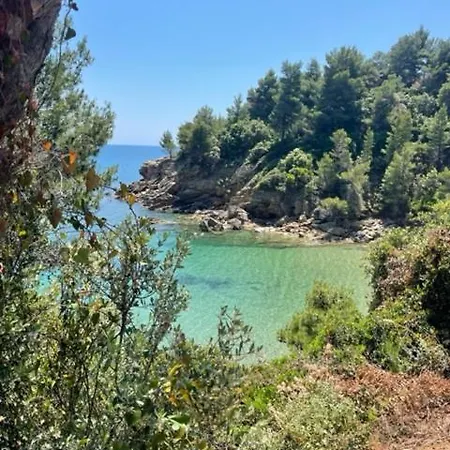 κατηγιώργης ρεγγίνα Agios Georgios (Thessaly)